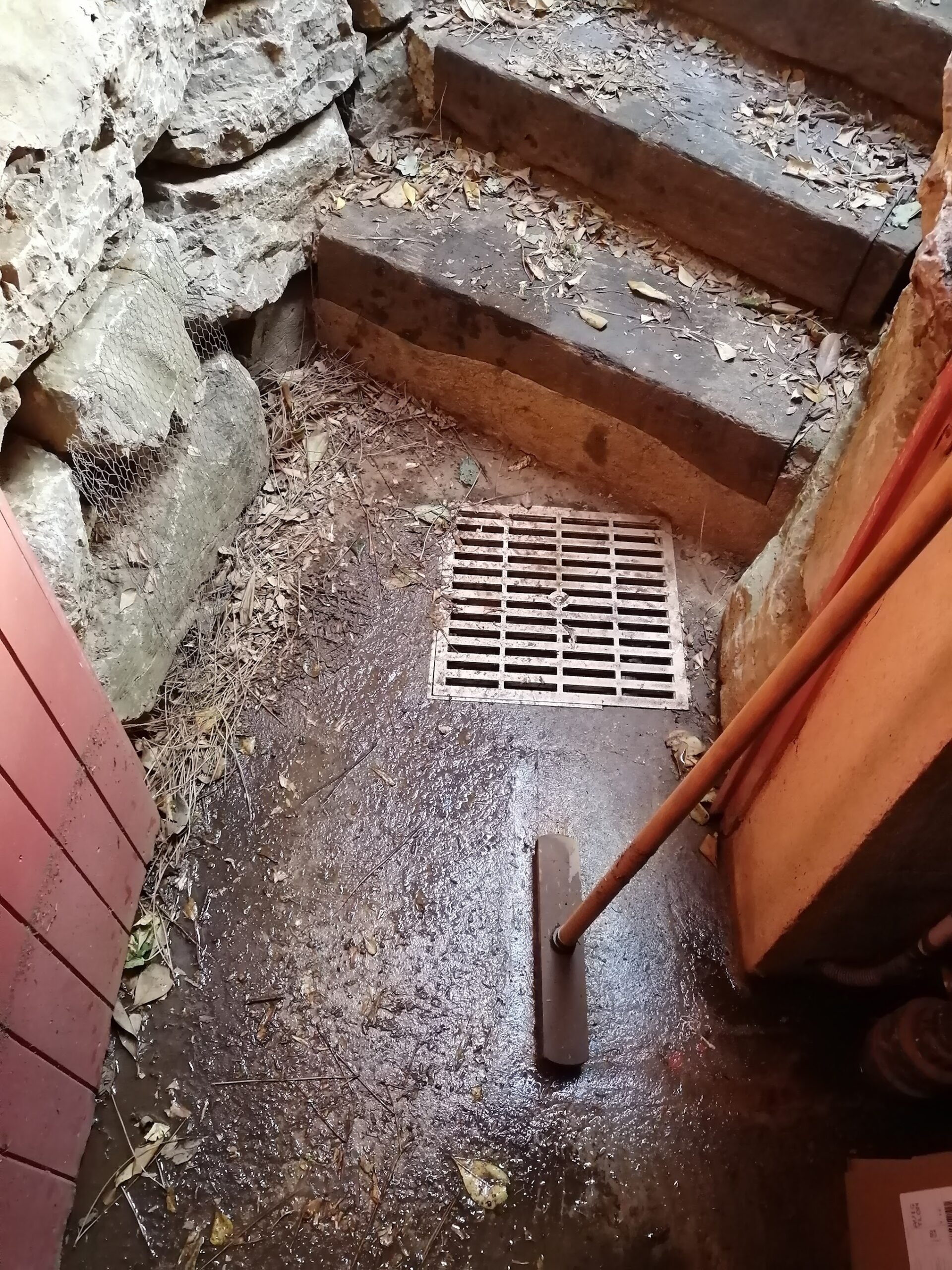 IMG_20200929_092053_1764339061404